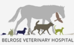 Belrose Vet